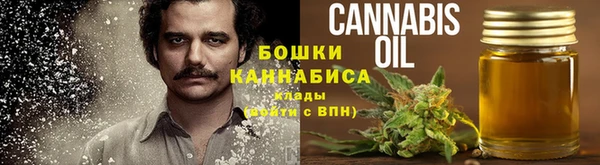 твердый Бородино