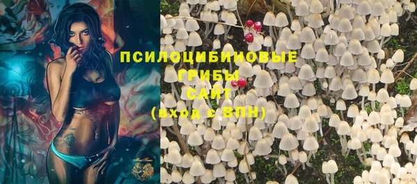 ECSTASY Бугульма