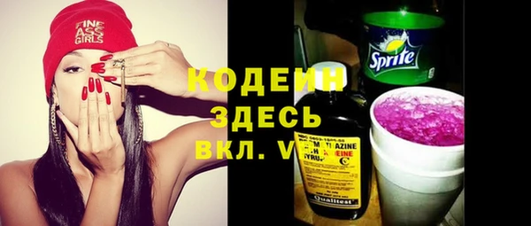 твердый Бородино