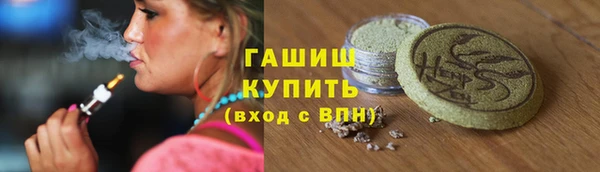 твердый Бородино