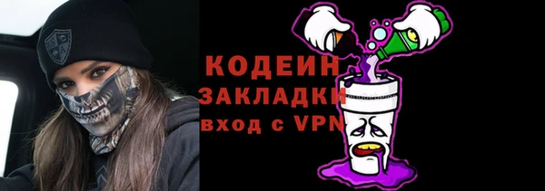 твердый Бородино