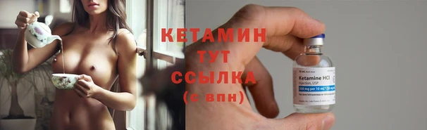 твердый Бородино