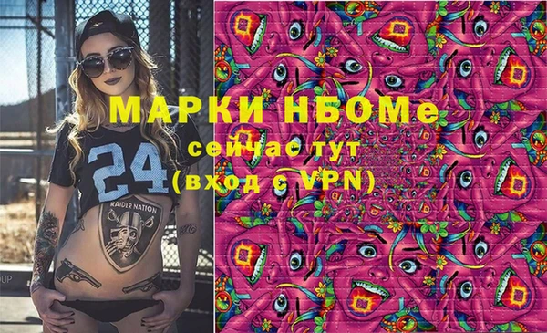 твердый Бородино