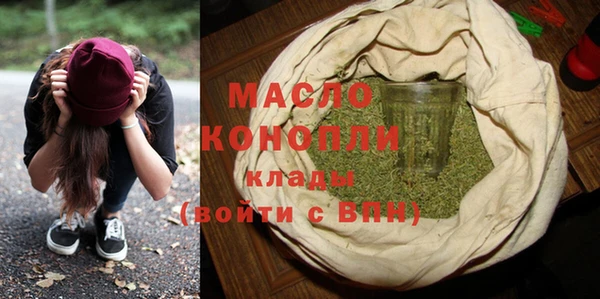 твердый Бородино