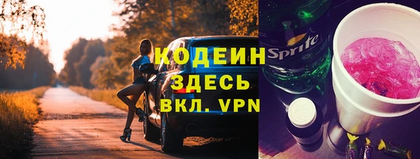 твердый Бородино