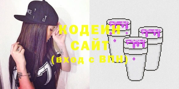 твердый Бородино