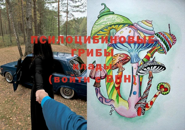 ECSTASY Бугульма