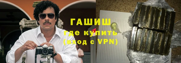 твердый Бородино