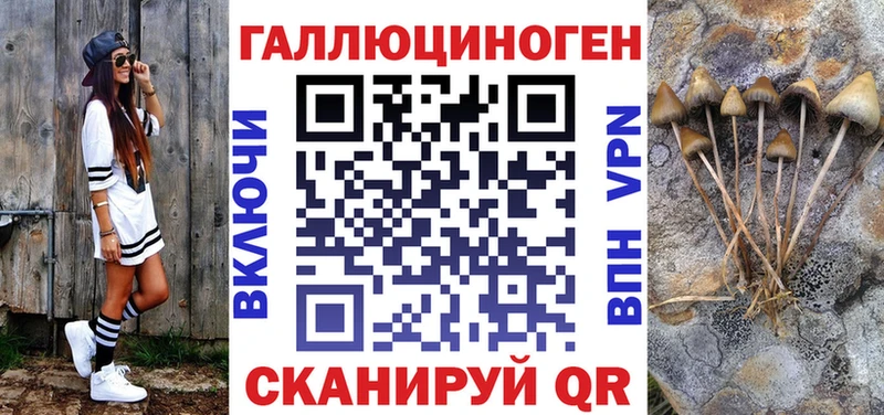 Галлюциногенные грибы Psilocybine cubensis  Купить где  Вытегра 