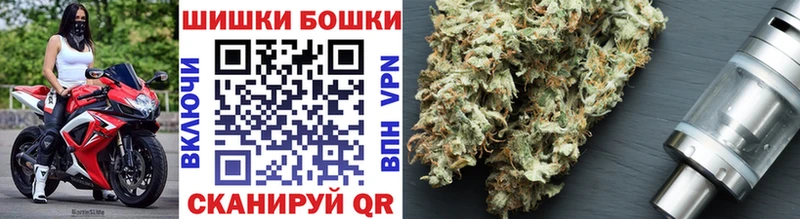 Бошки Шишки семена  Купить закладки  Вытегра 